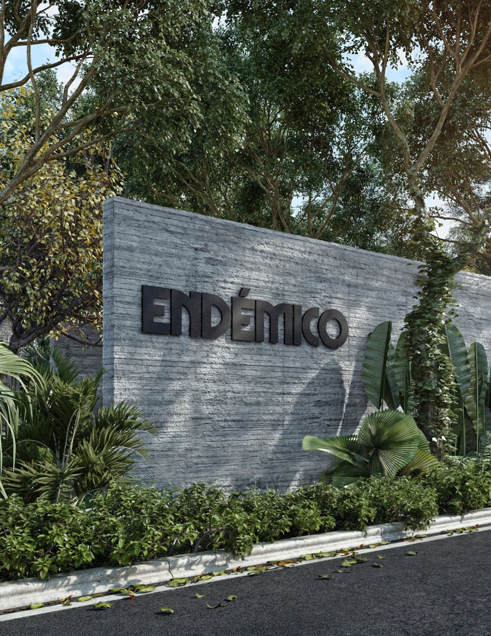 endemico-24-landing-galeria