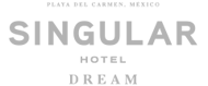 singular-dream-logo